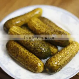 Pickled Gherkin, Pickled Cucumber in Glass Jar thumbnail-1