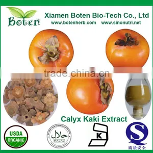 Manufactory Supplier of Persimmon Calyx Kaki Extract thumbnail-1