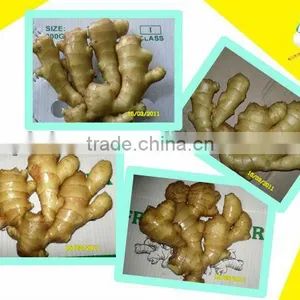 Fresh Washed Ginger thumbnail-1