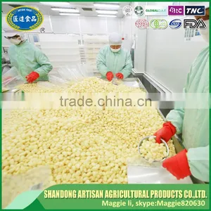 Frozen Peeled Garlic Bulk and Hot Sale thumbnail-1