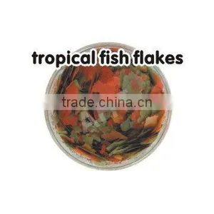 Tropical Fish Flake thumbnail-1