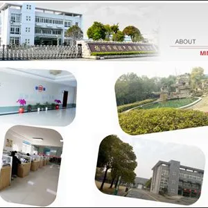 Jiangsu Mingrui Gas Spring Technology Co.,LTD company overview - view 1 thumbnail