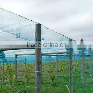 PE Nets Anti Bird Netting(Extruded) thumbnail-2