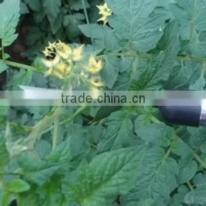 2017 New Electric Tomato Pollinator. thumbnail-3