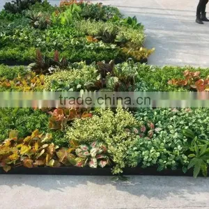 Eco-friendly Artificial Plant Wall ,artificial Grass Wall, Foliage Green Wall for Sale thumbnail-6