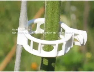 Hanging Tomato Clips thumbnail-4