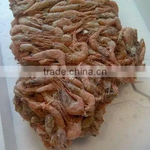Pink Shrimp thumbnail-1