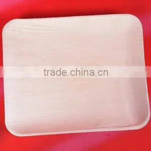 ARECA DISPOSABLE PLATES thumbnail-2