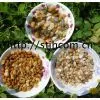 Natural Sand and Gravel thumbnail-1