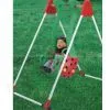 Golden Tortoies Seesaw,plastic Seesaw thumbnail-1