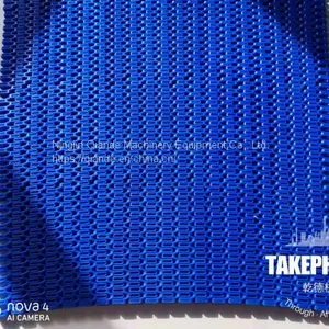 Manufacturer of Plastic Chain Plate Conveyor Belt thumbnail-5