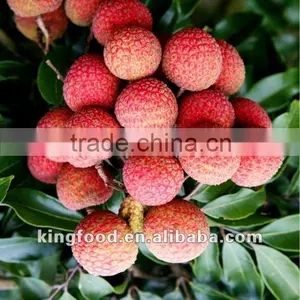 2012 New Crop Delicious Frozen Litchi thumbnail-1