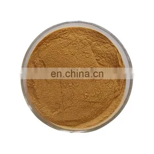 Free Sample Pure Natural Gambir Catechin Gambir Extract thumbnail-3