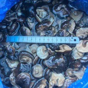 Shiitake in Brine, Brined Mushrooms, Edible Fungi, 50% Closed Caps thumbnail-2