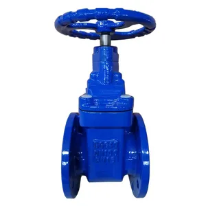DIN Gate Valve DN50 DN100 DN65 DN150 Industrial Gate Valve Stainless Steel Cast Steel Gate Valve PN16 PN64 Flanged Gate Valve thumbnail-1