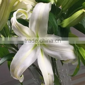 Fresh Color Siberia Various Colors Lilies Wedding Decorations thumbnail-1