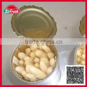 Canned Asparagus in Brine thumbnail-1