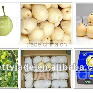 Fresh ya Pear thumbnail-1