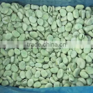 Frozen Broad Bean thumbnail-1
