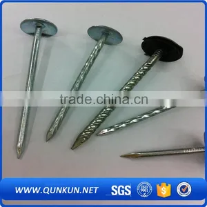 Q195 Lead Roofing Iron Concret Nails thumbnail-5