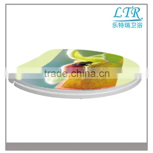Hot Sale Slim Printed Beautiful Insects Soft Toilet Seat thumbnail-1