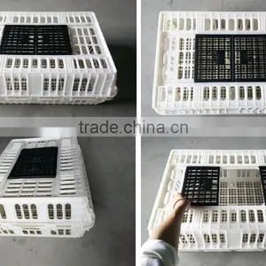 Plastic Chicken Layer Cage for Sale thumbnail-2