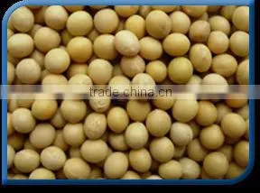 Soya Bean thumbnail-1