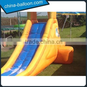 Giant Inflatable Foam Water Slide,single Inflatable Water Crush Slide for Party Supplier's Choice thumbnail-4