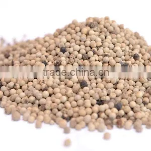 White Pepper thumbnail-1