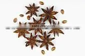 VIET NAM Star Aniseeds New Crop 2013 thumbnail-1