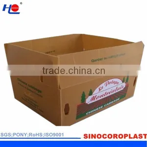 PP Plastic Corrugated Packaging Box thumbnail-2