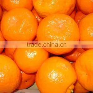 Fresh Mandarin thumbnail-1