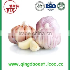 2016 High Quality Fresh White Garlic From China thumbnail-1