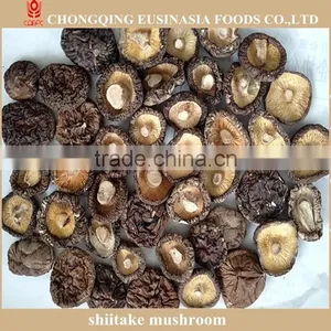Dried Shiitake Slice thumbnail-5