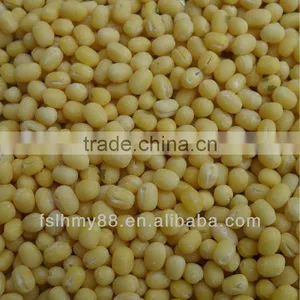 Northeast China Peeled/skinless Whole Green Mung Bean thumbnail-1