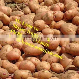 Carrot Spiral Cutting Machine /potato Slicing Machine / Sweet Potato Chips Cutting Machine thumbnail-6