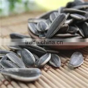 Wholesale Sunflower Seeds With Good Price thumbnail-6