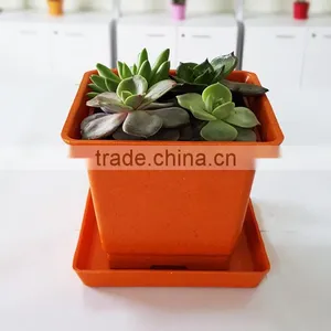Ecoflower Pots thumbnail-2