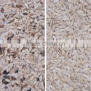 Sunflower Seeds Color Sorter/Grain Color Sorting Machine With 5388 Pixel thumbnail-2