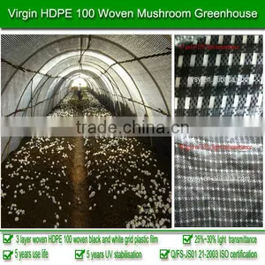 China Plastic Manufacture Supply 3-layer Woven 200 Micron 5-year UV Stabilized HDPE Tunnel Plastic Greenhouse Film for Mushroom thumbnail-3
