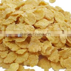 All Types of Healthy and Good Taste Breakfast Cereals Production Line thumbnail-3