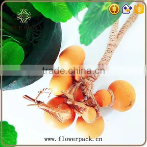 Rural Series of Dried Fruit Hangs Have Seven Options thumbnail-3