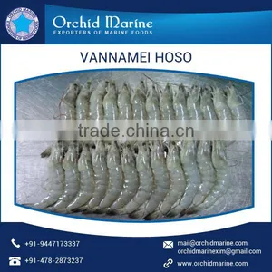 Fresh and Frozen Shrimp at Affordable Price From HACCP Certified Trader thumbnail-3