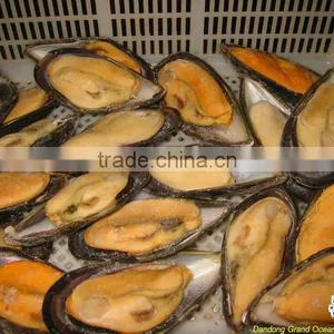 Seafood Frozen Half Shell Cooked Mussel thumbnail-1