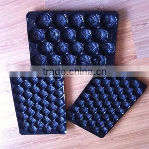 Different Size&Color Available Made in China Free Samples Offered PP Perforated Plastic Trays for Apple Packing thumbnail-1
