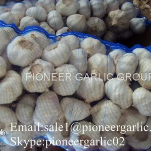 4.5-5cm Normal White Chinese Fresh Garlic In Mesh Bag Packing thumbnail-2