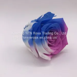 Handmade Immortal Flowers Preserved Flower Rose, Never Withered Roses thumbnail-1