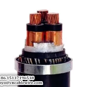 Armored Power Cable thumbnail-2
