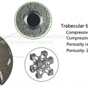 SEE Trabecular Acetabular Cup System thumbnail-1