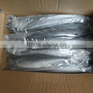 Excellent Whole Mackerel 200g-4kg thumbnail-1